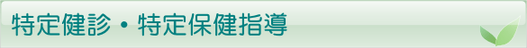 特定健診・特定保健指導